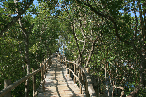 tourist spot near tubigon bohol