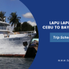 Lapu Lapu Shipping Cebu to Baybay