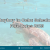 Baybay to Cebu Schedule