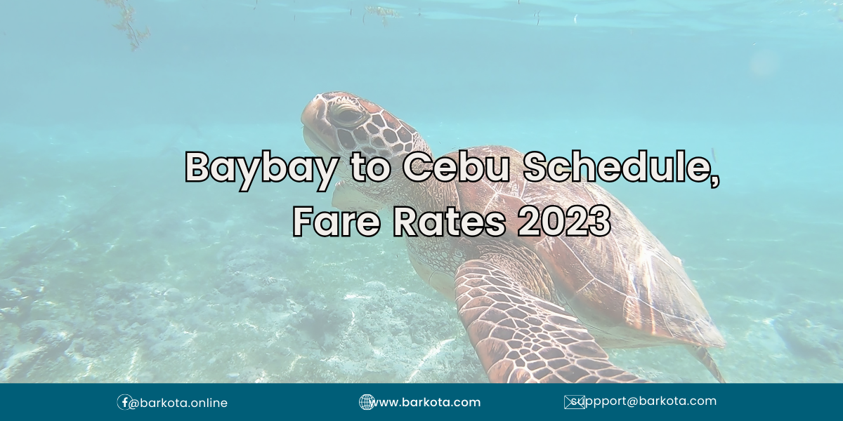 Baybay to Cebu Schedule, Fare Rates 2025 - BARKOTA